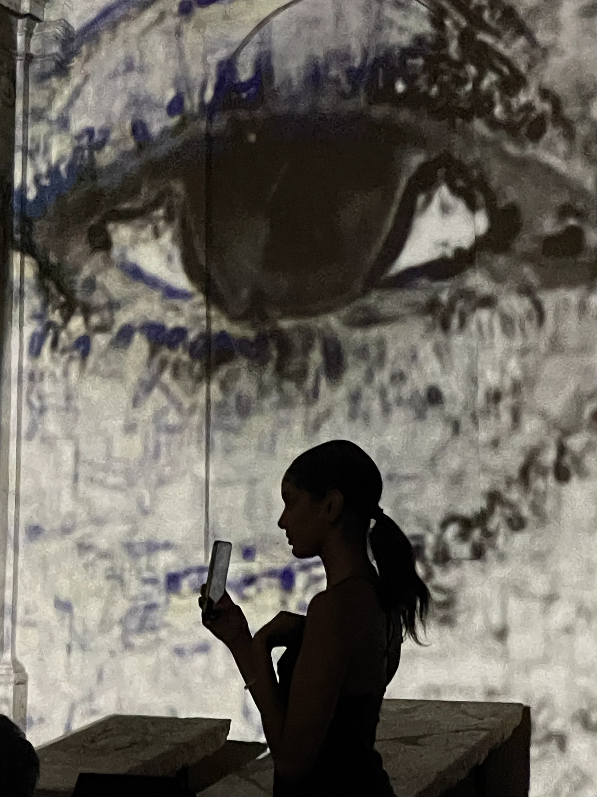 E.V.A., documentazione fotografica 11